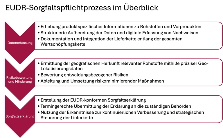 EUDR-Sorgfaltspflichtprozess, Überblick