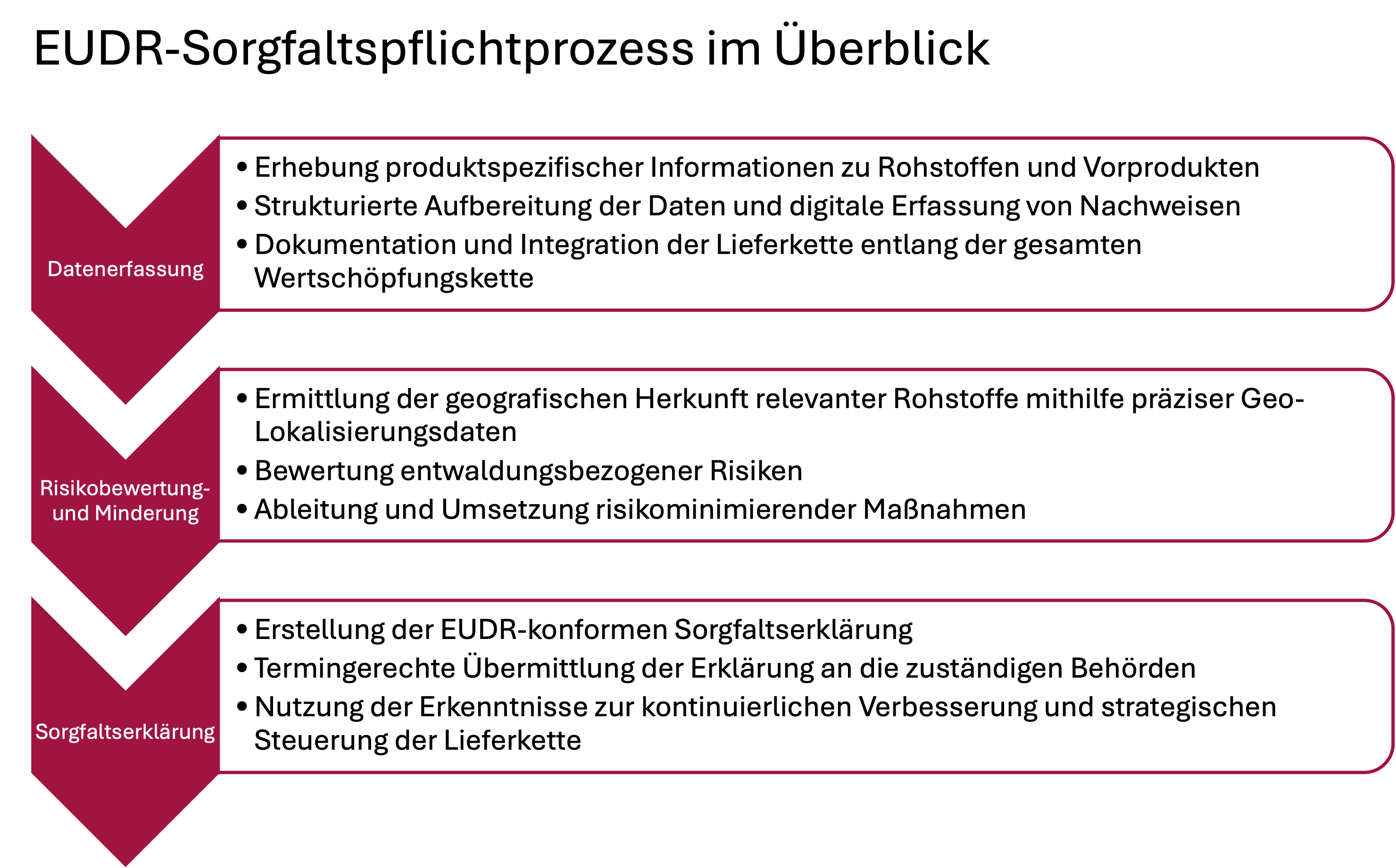 EUDR-Sorgfaltspflichtprozess, Überblick