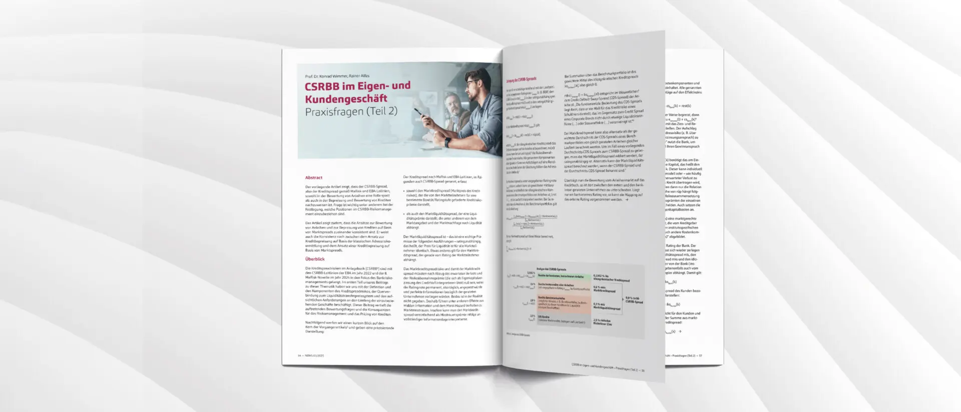 CSRBB, Praxisfragen